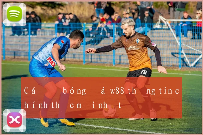 Cá độ bóng đá w88 thông tin chính thức mới nhất
