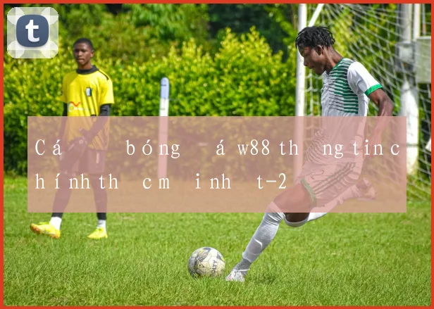 Cá độ bóng đá w88 thông tin chính thức mới nhất